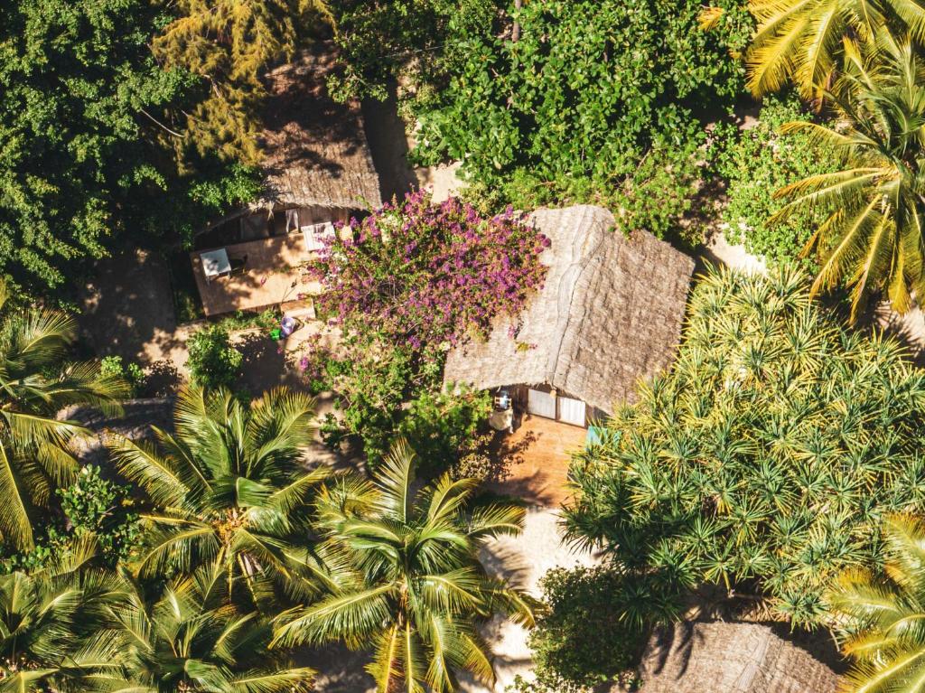 Standard Double - Garden View